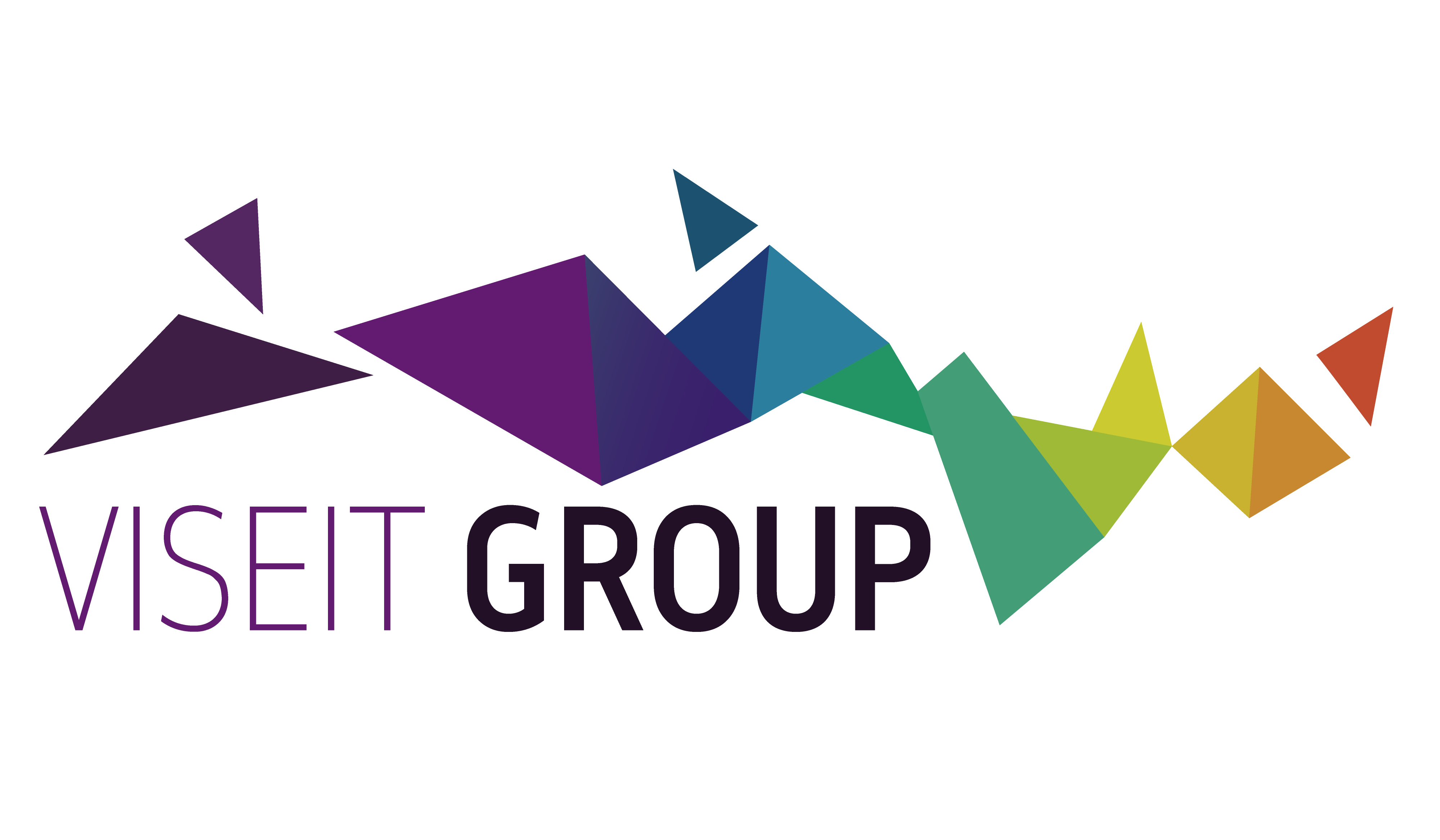 VISEIT GROUP Logo